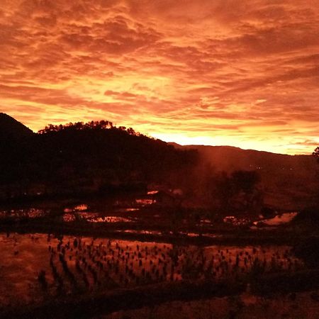 De Salak Homestay Bogor Exteriér fotografie