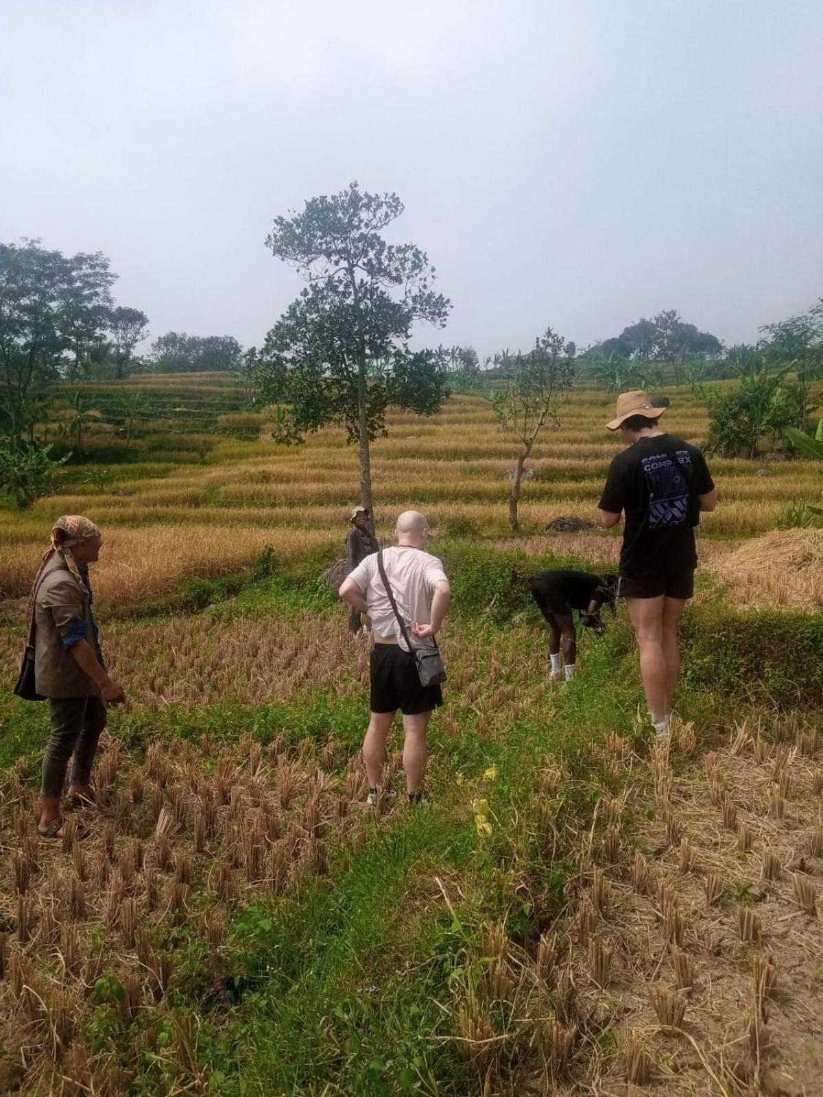 De Salak Homestay Bogor Exteriér fotografie