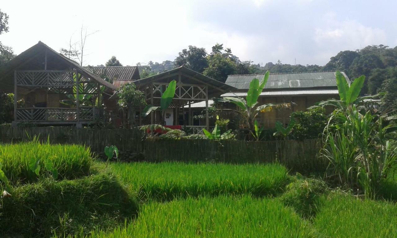 De Salak Homestay Bogor Exteriér fotografie