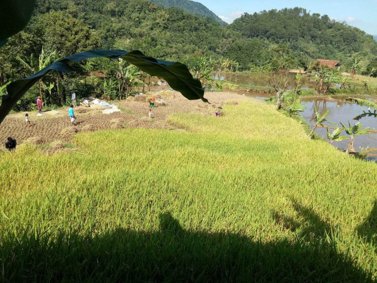 De Salak Homestay Bogor Exteriér fotografie