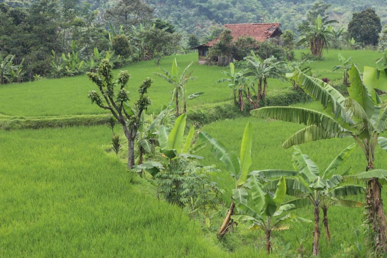 De Salak Homestay Bogor Exteriér fotografie